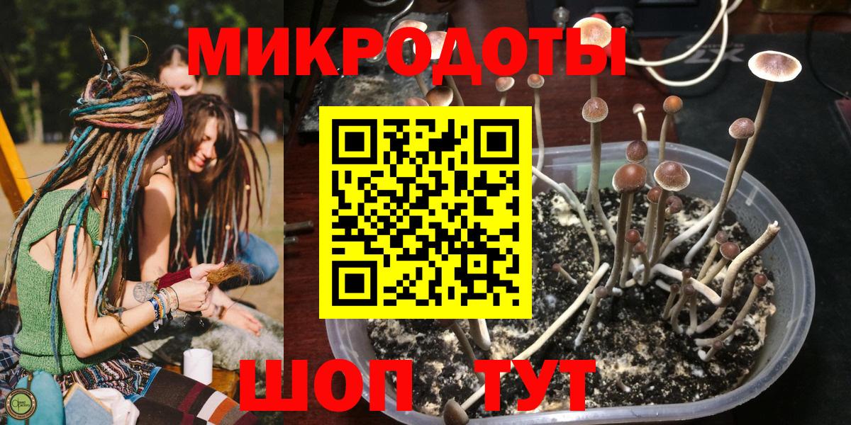 Галлюциногенные грибы Magic Shrooms Новочеркасск
